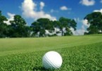 Cả 'kho' hóa chất đang nằm dưới lớp cỏ sân golf