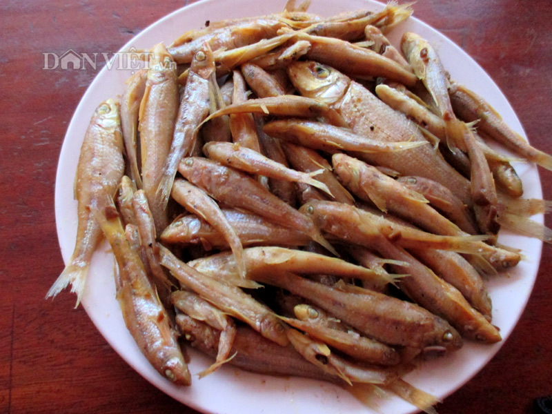 Tuyệt ngon món cá còm kho nghệ