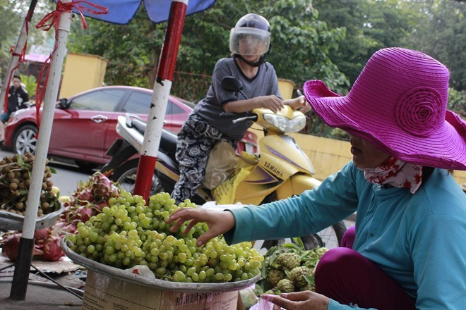 Khóc với nho đặc sản Ninh Thuận 3.000 đồng/kg