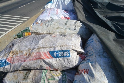 Kinh dị làm bột nêm bằng 10 tấn xương động vật có giòi