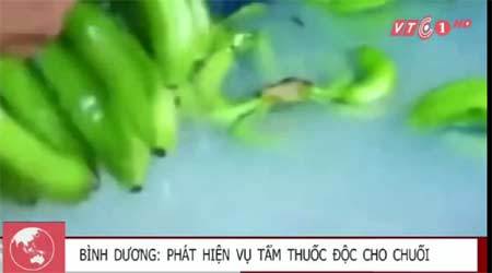 ‘Tẩm’ thuốc độc cho chuối