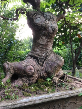 Đỏ mặt vì cây dâu da quá khêu gợi