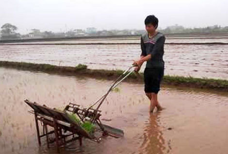 Nông dân Thái Bình chế máy cấy siêu tốc, nhà khoa học lặng tiếng