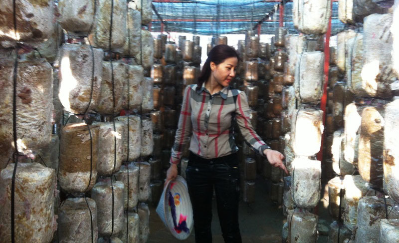 Nữ tỷ phú 8x gương mặt tiêu biểu trả lại 650 triệu