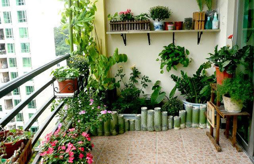 Nhà nhỏ đẹp nhờ những bình cây tí hon siêu ngộ nghĩnh