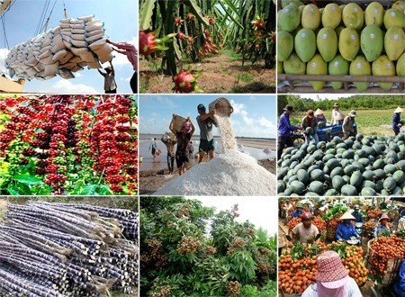 Sau 30 năm, tổng kim ngạch xuất khẩu ngành nông nghiệp tăng 63 lần