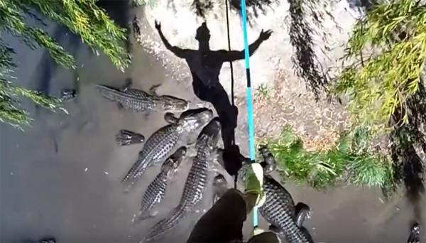 10 clip 'nóng': Vượt qua đầm cá sấu tử thần trên dây