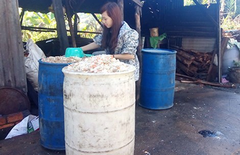 Đại ca cai thầu nước rác, cơm thừa: Kiếm trăm triệu