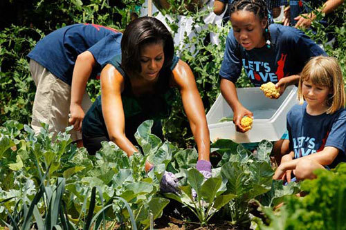 Vườn rau sạch cực đỉnh của nhà Obama trong Nhà Trắng