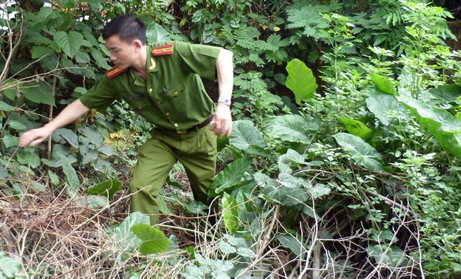 nữ sinh lớp 11 bị giết, nữ sinh 16 tuổi bị giết, lời khai kẻ giết nữ sinh, Nguyễn Tùng Long