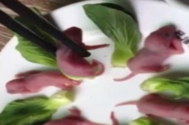 Món ăn ghê rợn: chuột con sống chấm sốt