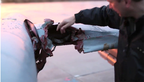 Chim đâm nát cánh máy bay