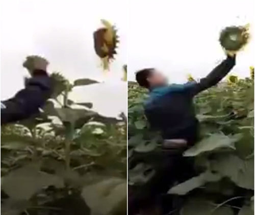 Phẫn nộ với clip