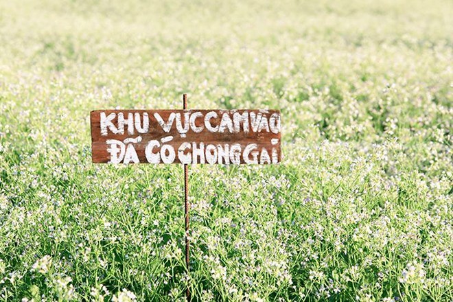 Dân Đà Lạt lo phòng chống du khách cuối năm