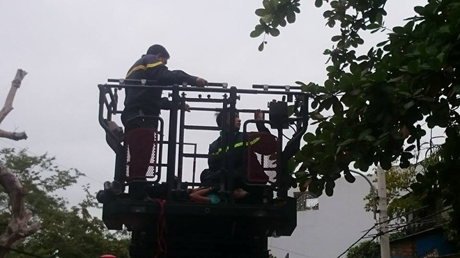 Cảnh sát đu cây bắt người nghi ngáo đá