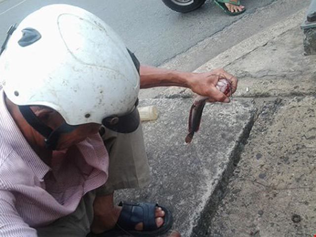 Kỳ lạ Sài Gòn: Câu cá trê giữa đường phố