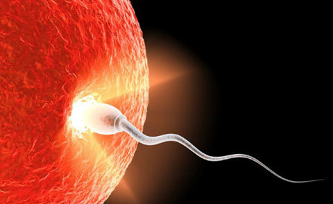 Vợ ép nhịn thịt bò, tinh binh có bị yếu?