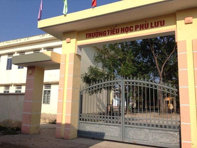'Hồng sâm Hàn Quốc' tấn công trường làng