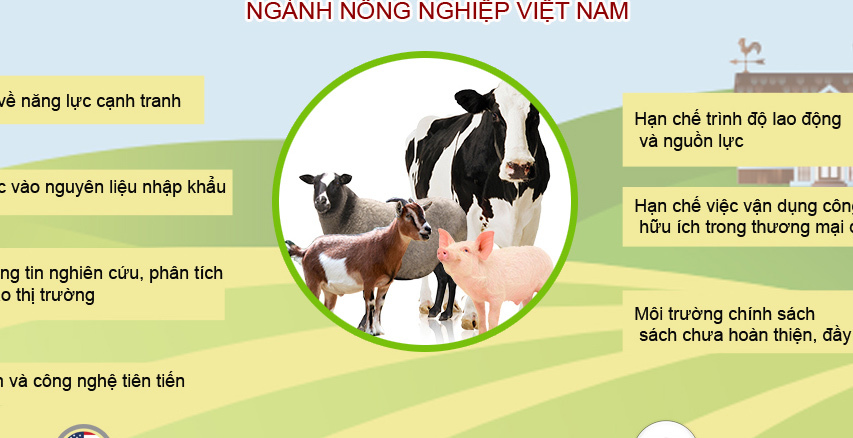 Cam kết của Việt Nam trong TPP