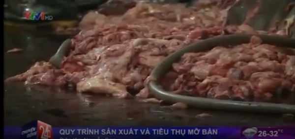 Clip: Kinh hoàng quy trình sản xuất và tiêu thụ mỡ bẩn