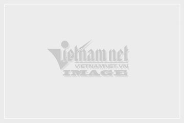 25 ứng dụng iPhone tốt nhất 2015