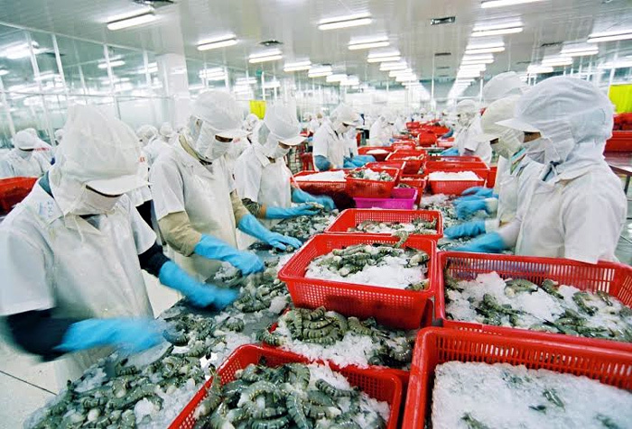 Đại gia thủy sản Cà Mau: Bùng nợ ngân hàng 200 tỷ