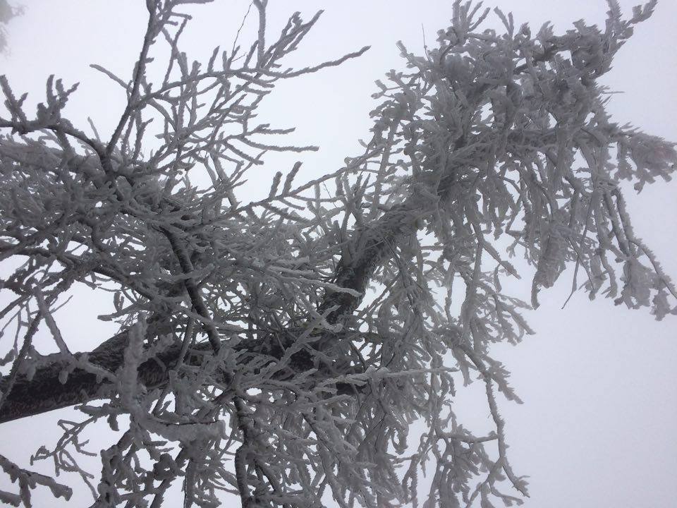 Băng tuyết phủ trắng Sa Pa