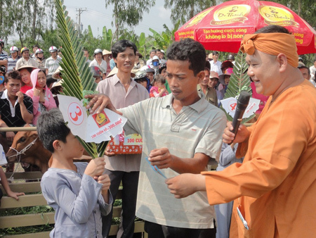 Bò Lục Lạc Vàng giúp ‘gà trống’ nuôi con