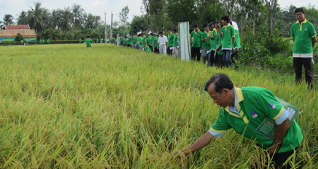 Miền Tây Nam Bộ tưng bừng mở hội Nhà nông tài ba