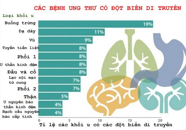 benh ung thu, dot bien, di truyen, ung thu vu, Angelina Jolie, bệnh ung thư, đột biến, di truyền, ung thư vú, ung thư dạ dày, lạc nội mạc tử cung