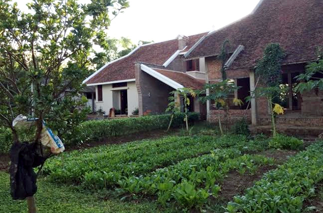 Sợ nhiễm độc, dân Hà thành thuê đất quê tự trồng rau