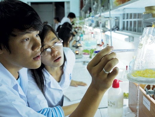 Phần lớn công bố khoa học VN đứng tên chung với tác giả ngoại