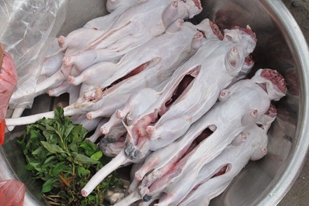Hà Nội: Kinh hãi săn chuột cống làm đồ nhậu đặc sản