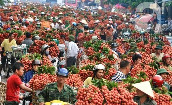 Dân Lục Ngạn lên hương: Giải kiếp 'đổ cho bò ăn'