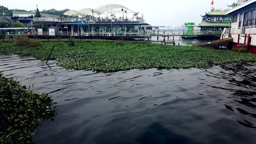 Chính quyền 'né' báo chí, mặc Hồ Tây thành... sông Tô Lịch