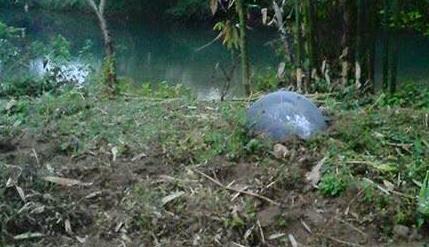 Vật thể lạ rơi xuống Việt Nam do Nga sản xuất