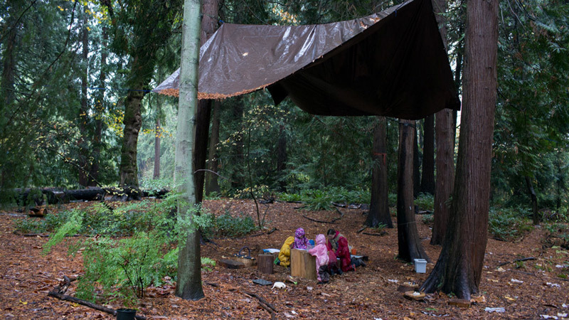 Trường mầm non dạy trẻ 3 tuổi sáng tạo trong rừng