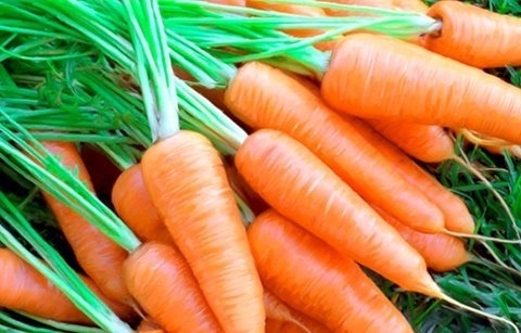 Sai lầm cần tuyệt đối tránh khi ăn cà rốt