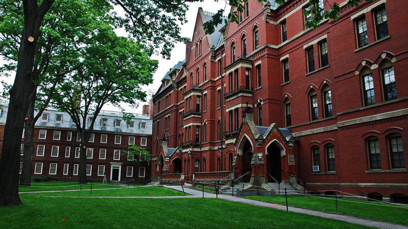 '4 năm khốn khổ của tôi ở Harvard'