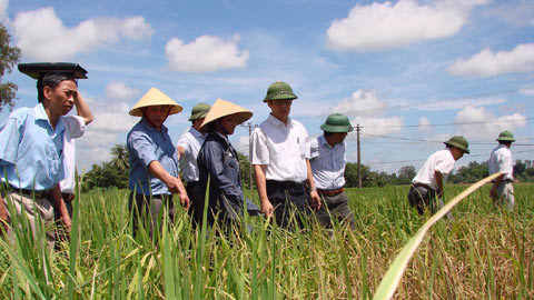 Tỉnh 'lạm phát' cấp phó: Tại thế hệ trước để lại