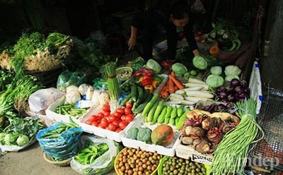 Bí quyết chi tiêu 6 triệu đồng/tháng dành cho người độc thân