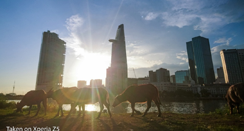 Chớp khoảnh khắc vàng với bộ ba Sony Xperia