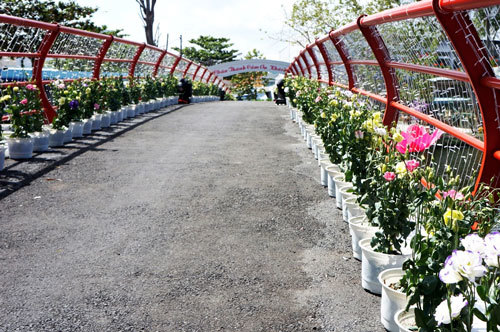 Đại gia cưới con gái 14 tỷ xây dựng công trình không phép