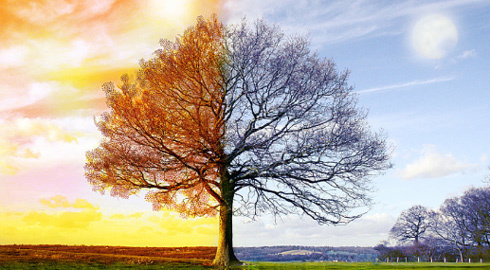 Vì sao Trái Đất có bốn mùa trong năm?