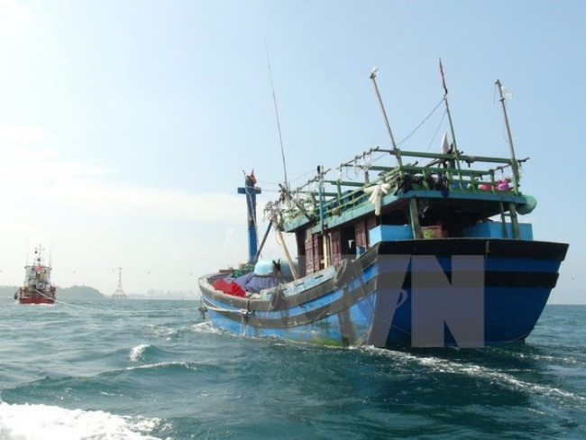 Đang điều tra vụ tàu cá Bình Định bị đâm chìm