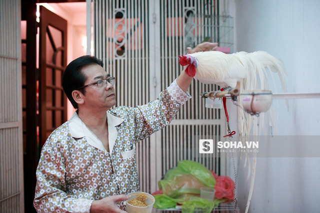 Gia thế ít biết của diễn viên cảnh nóng đầu tiên ở Việt Nam