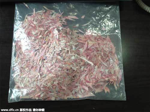 Giận con, bố cắt nát gần 500 triệu
