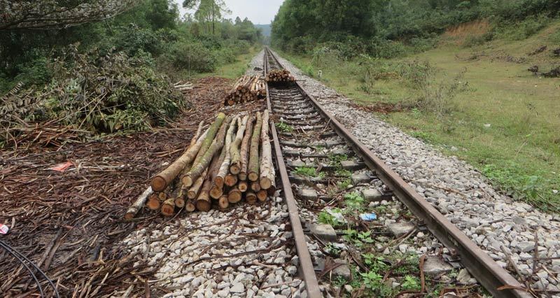 Hoang tàn tuyến đường sắt độc nhất xứ Nghệ