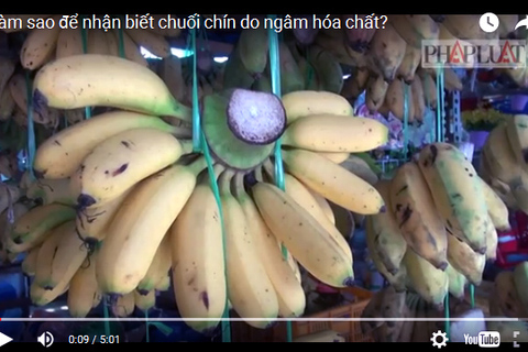 Làm sao để nhận biết chuối chín do ngâm hóa chất?