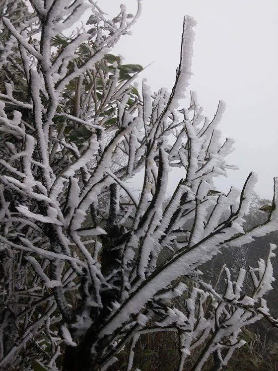 Nhiệt độ xuống 0 độ C, chùa Đồng và đỉnh Mẫu Sơn xuất hiện băng tuyết
